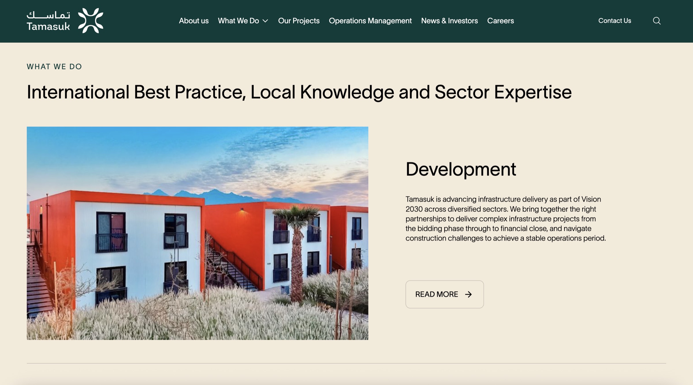 What We Do — development, framed by Vision 2030.